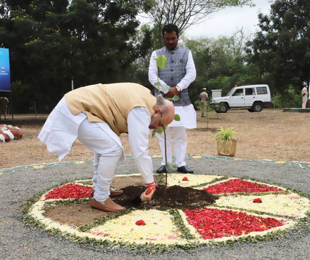 वृक्ष