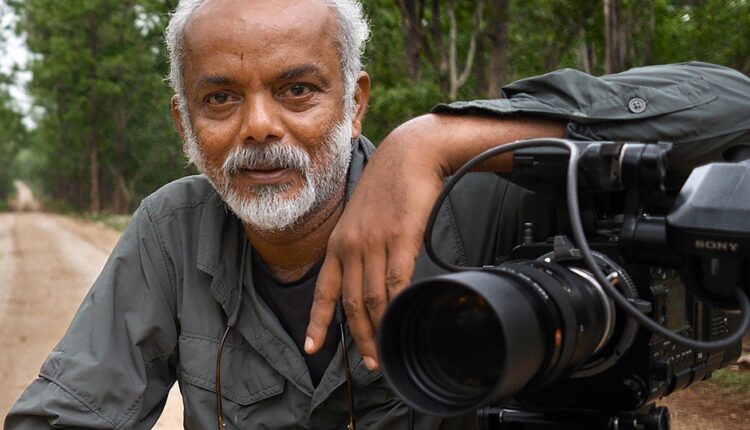 फेमस टाइगर