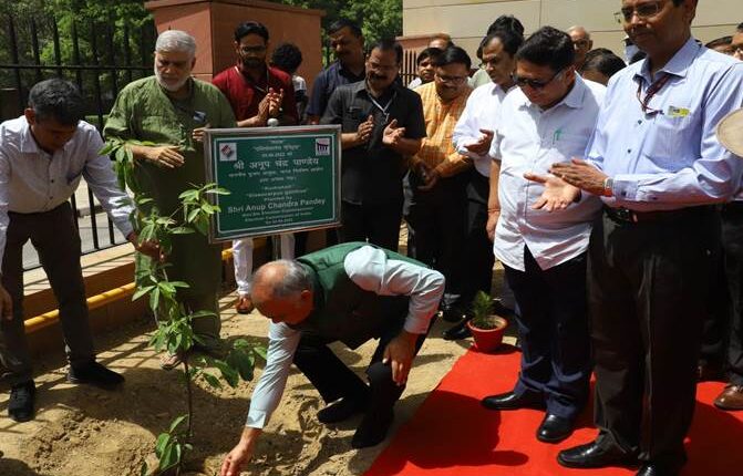 पर्यावरण