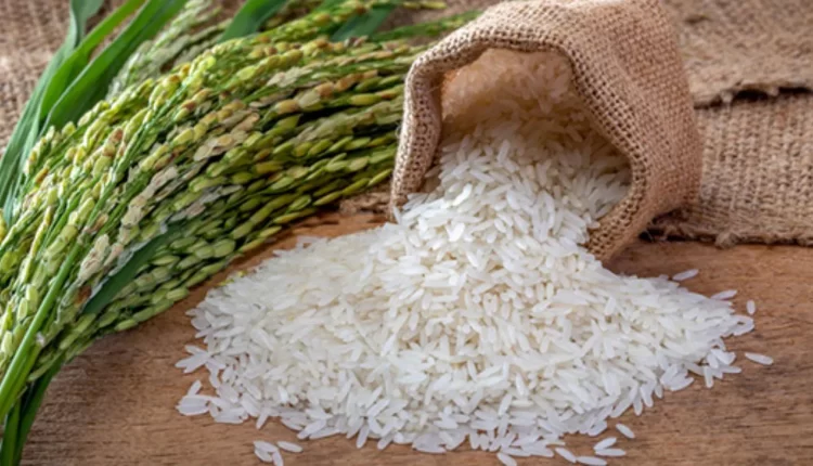 चावल