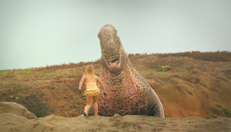 मैक्सिकन