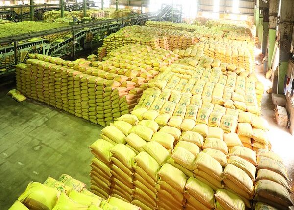 रबी सीजन